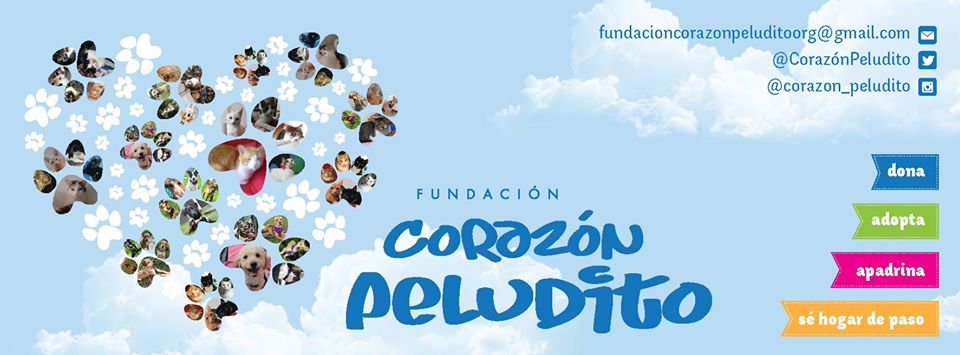 Foto Fundación Corazón Peludito
